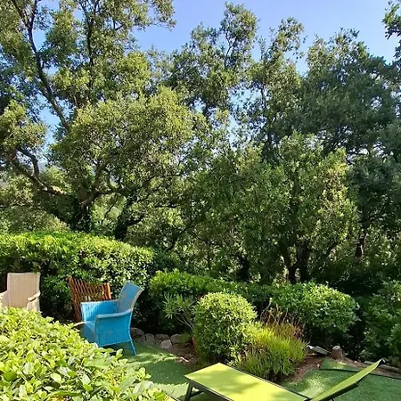 La Cigale Holiday home Grimaud