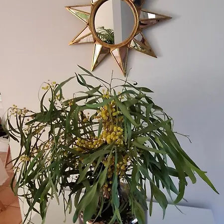Holiday home La Cigale *